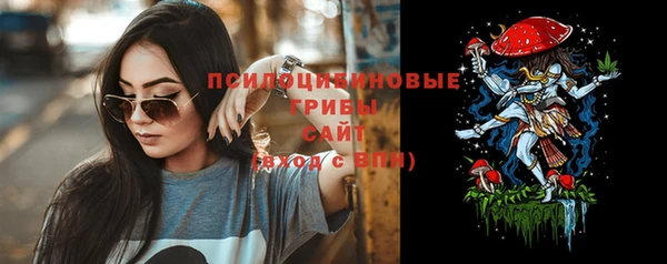 не бодяженный Надым