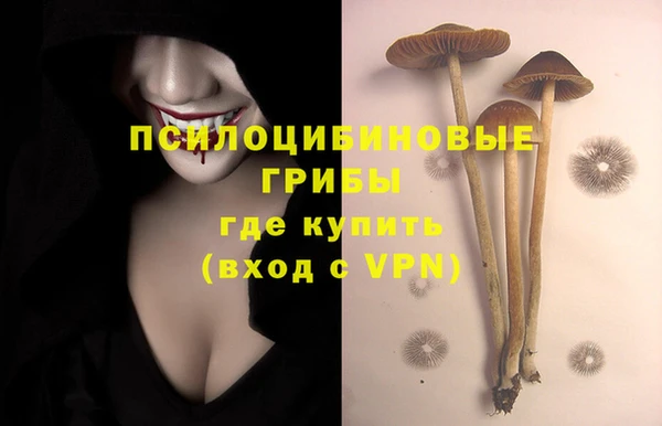 герыч Белокуриха