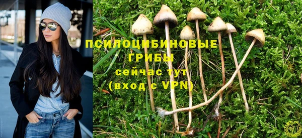 таблы Беломорск