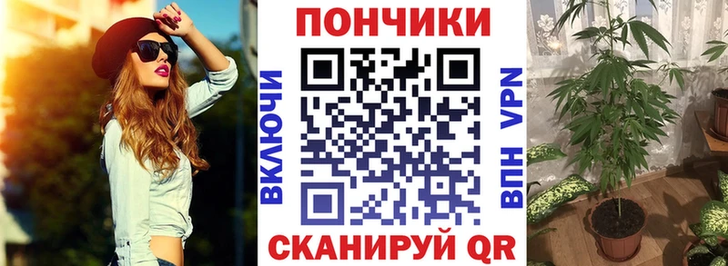 Шишки марихуана гибрид  закладки  Юрга 